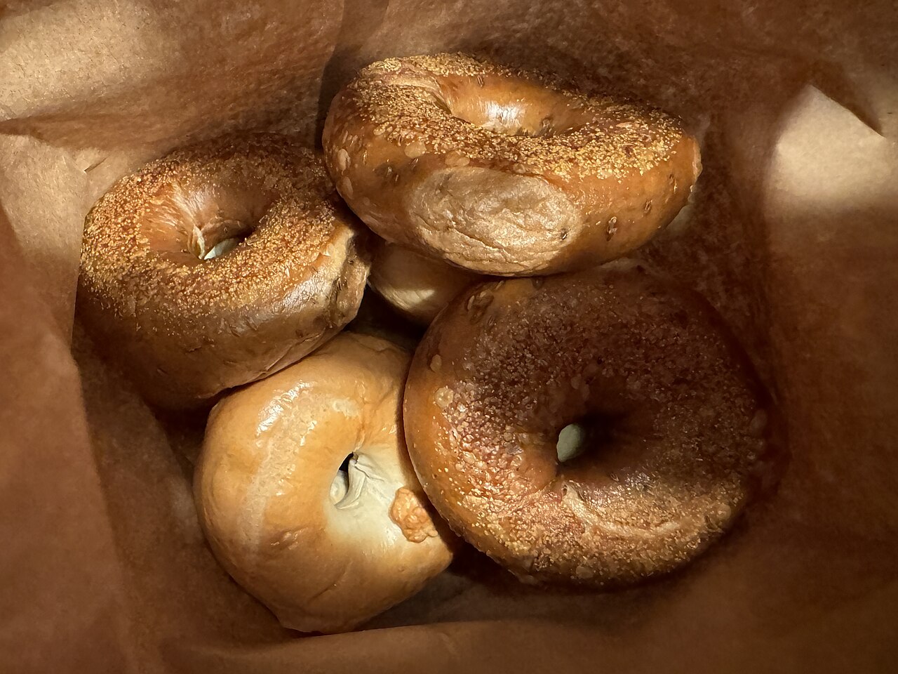 Bagel