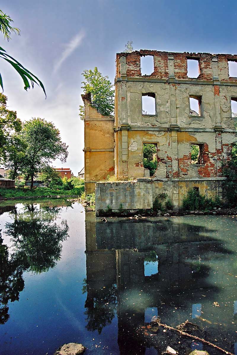 Czernina